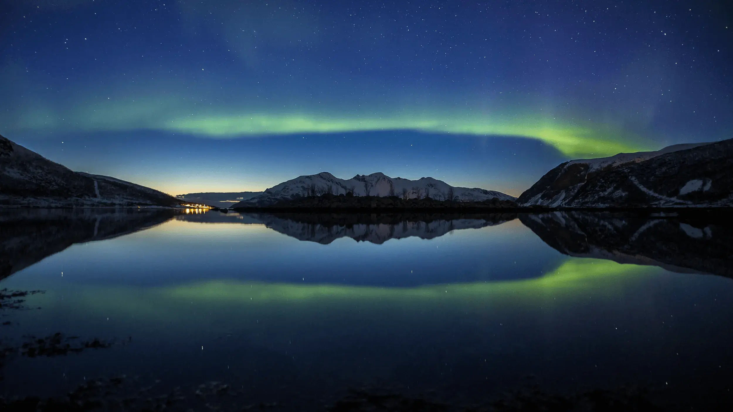 Guests around the campfire under the aurora