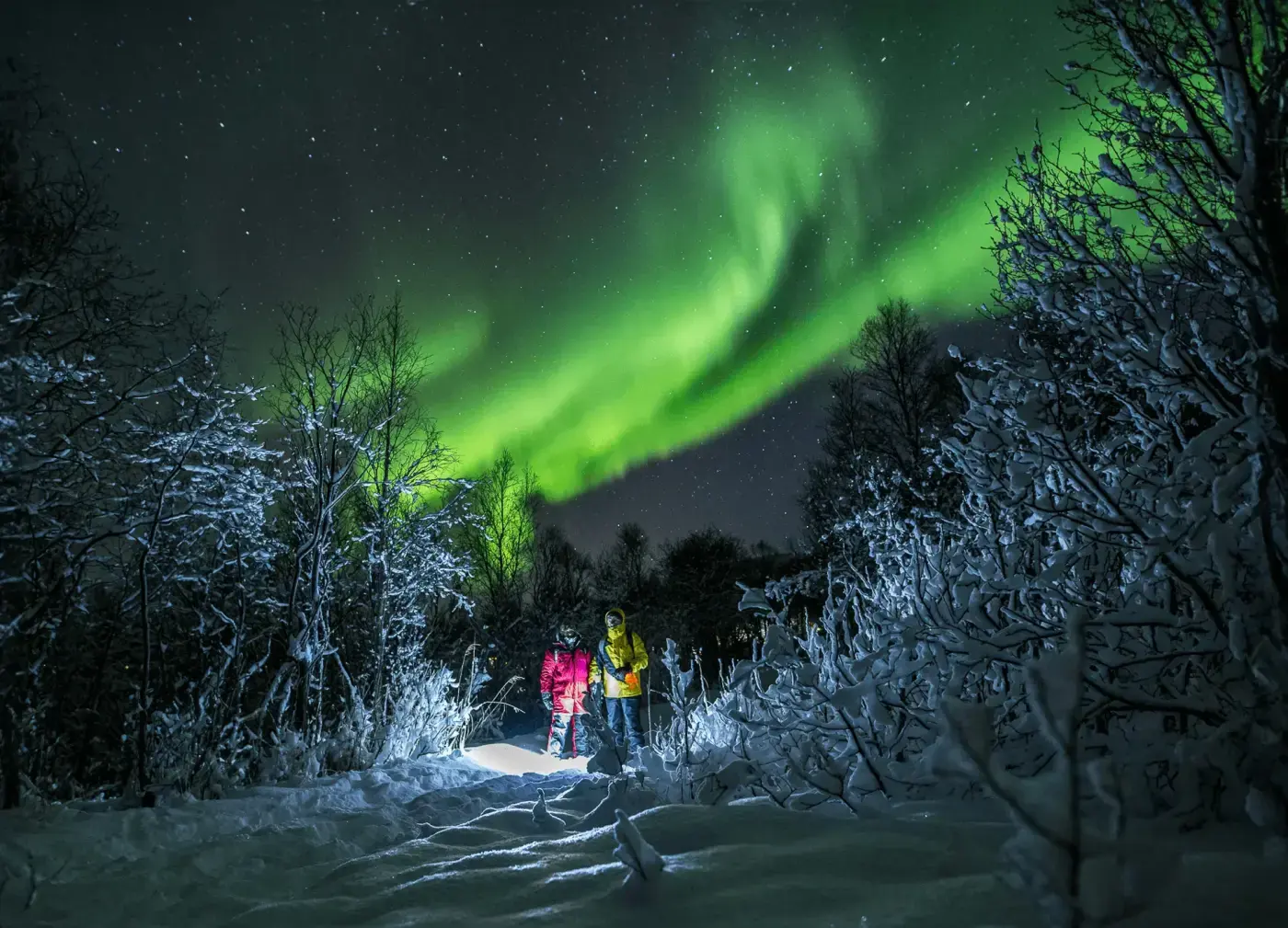 Small tour group watching the northern lights