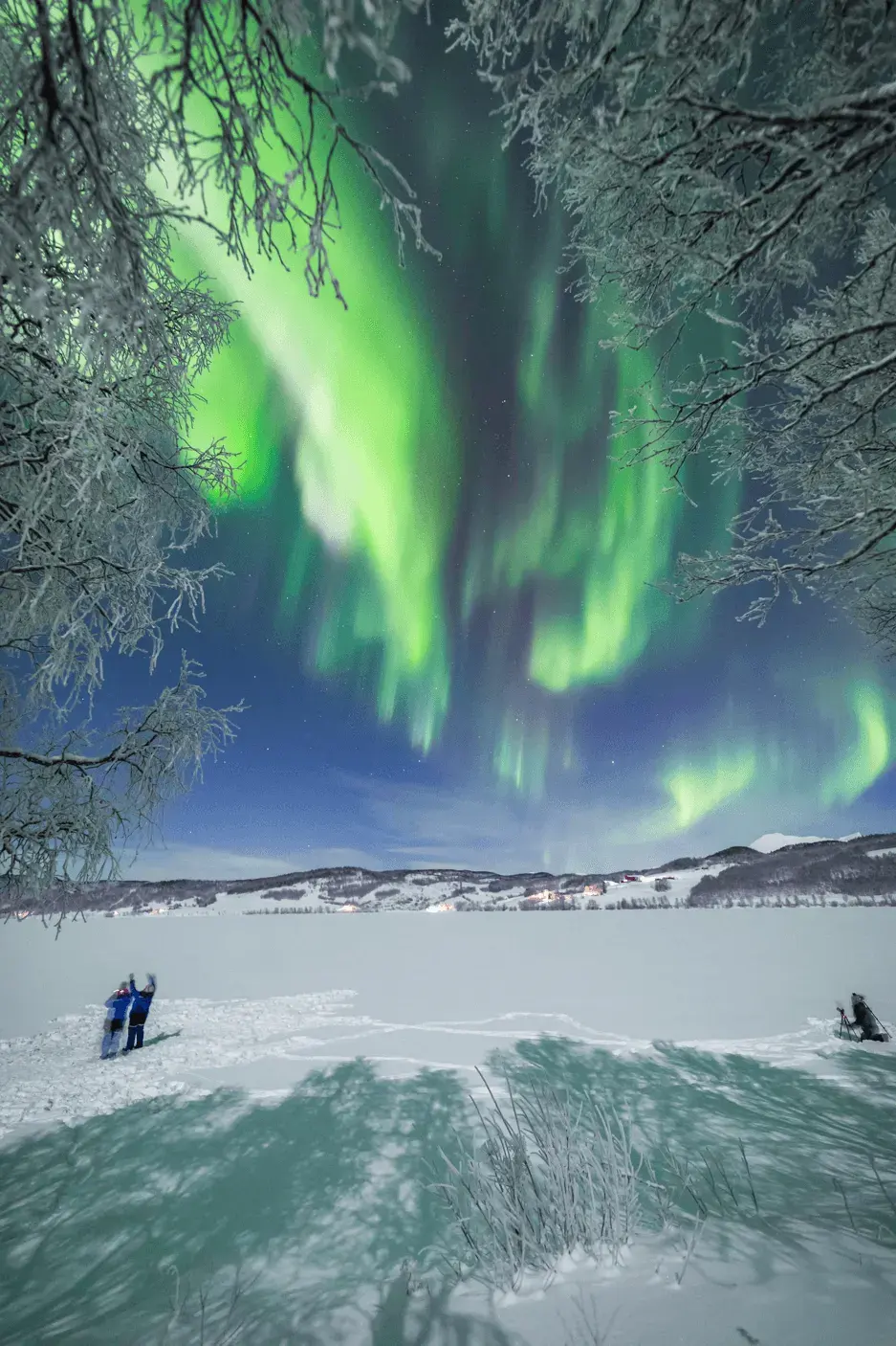 Aurora borealis reflected in still fjord water