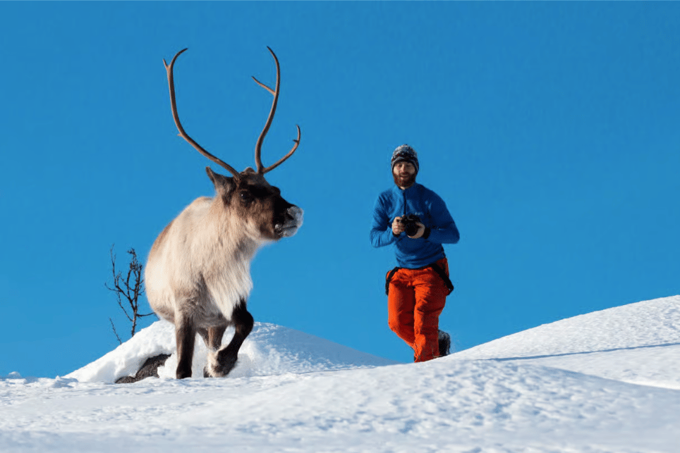 Tromsø: Sommarøy Trip with Scenic Picnic and Photo